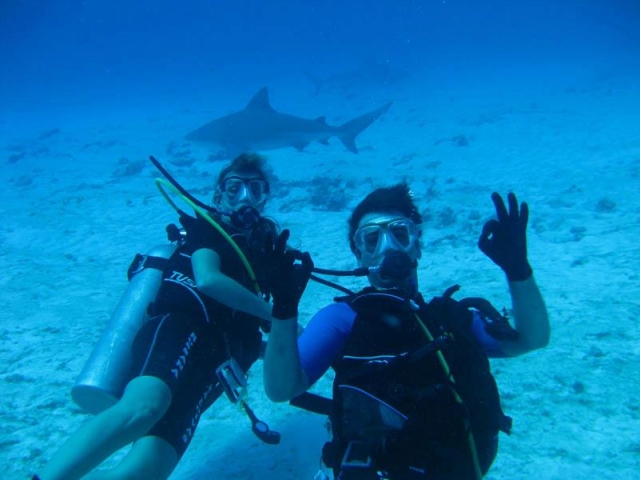 Buceando con tiburon toro